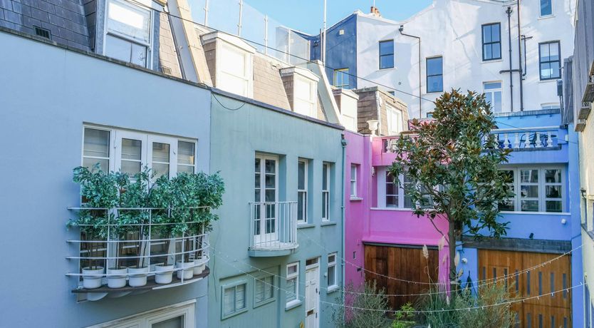 Photo of London Rose