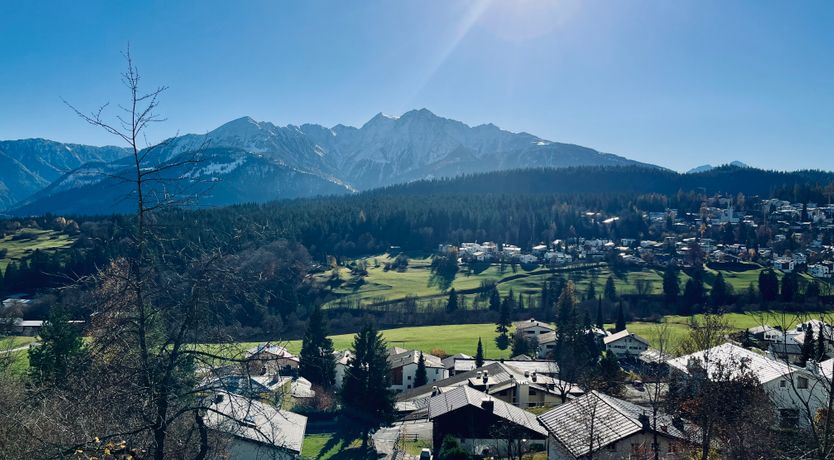 Photo of The Mountain Beauty