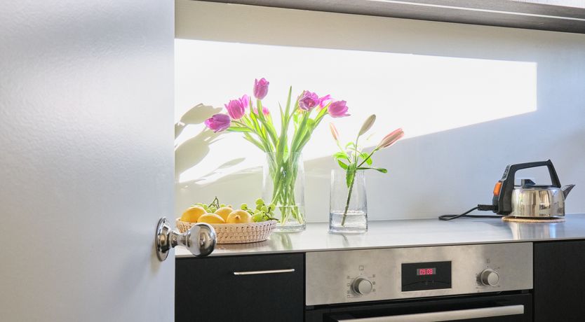 Photo of The Mountain Beauty