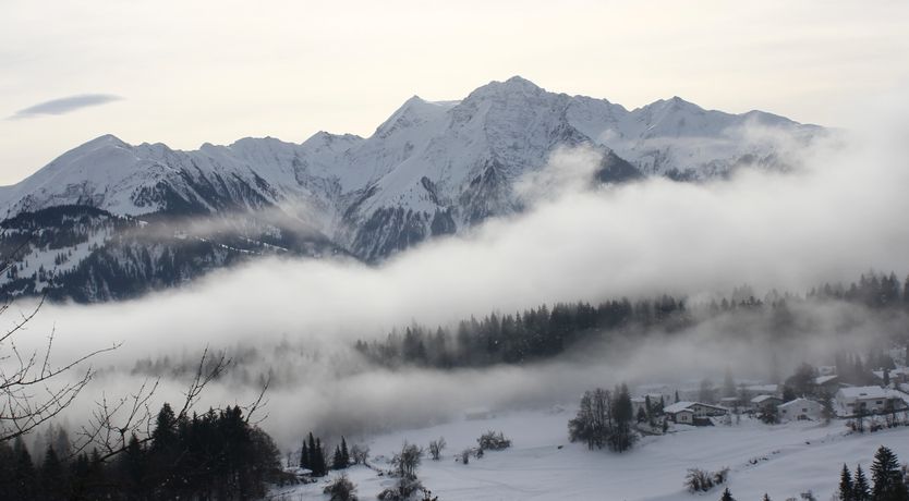 Photo of The Mountain Beauty