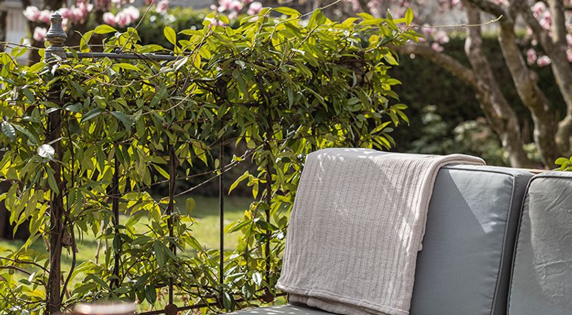 Photo of Annecy Rose