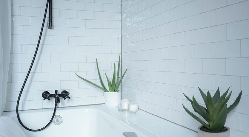 Photo of Annecy Rose