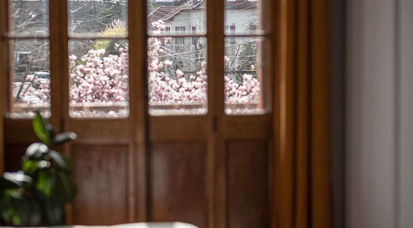 Photo of Annecy Rose