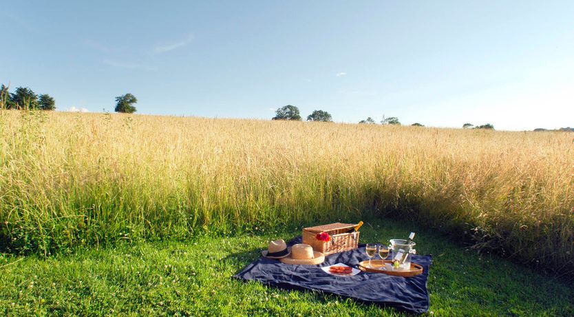 Photo of Finely Tuned