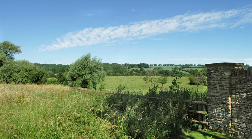 Photo of Finely Tuned