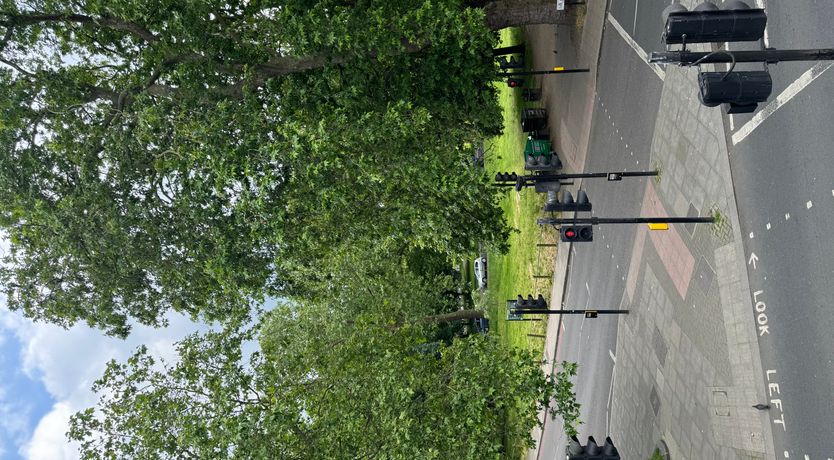 Photo of Common Comfort