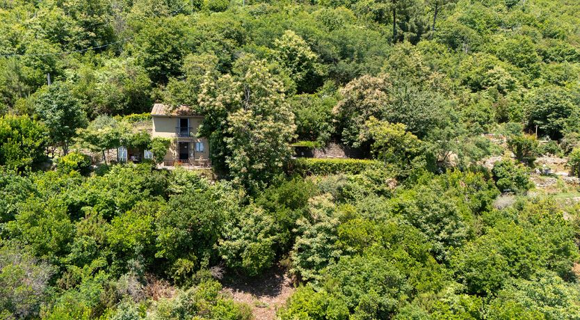 Photo of Sea & Island Vistas