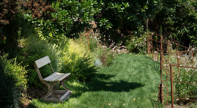 Photo of Sea & Island Vistas