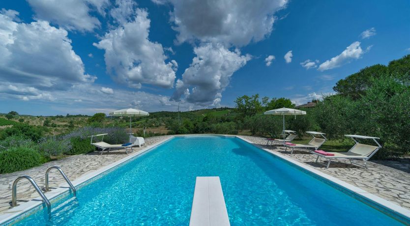 Photo of Terracotta & Vine