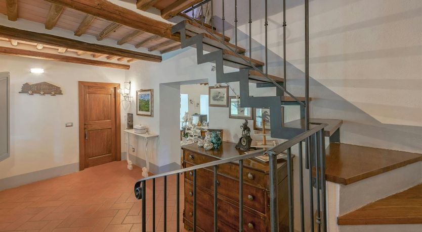 Photo of Terracotta & Vine