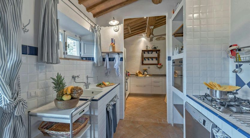 Photo of Terracotta & Vine