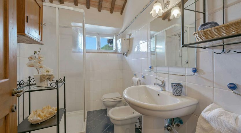 Photo of Terracotta & Vine