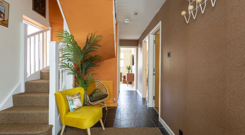 Photo of Groovy Gulls