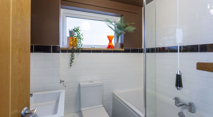 Photo of Groovy Gulls