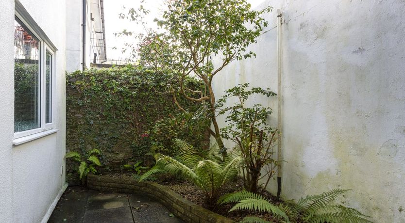 Photo of Groovy Gulls