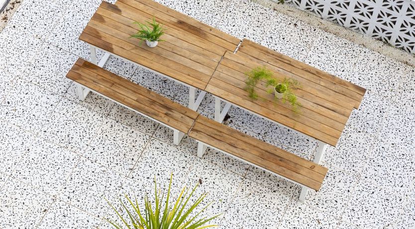 Photo of Groovy Gulls