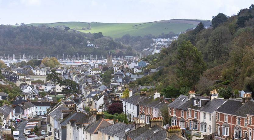 Photo of Groovy Gulls
