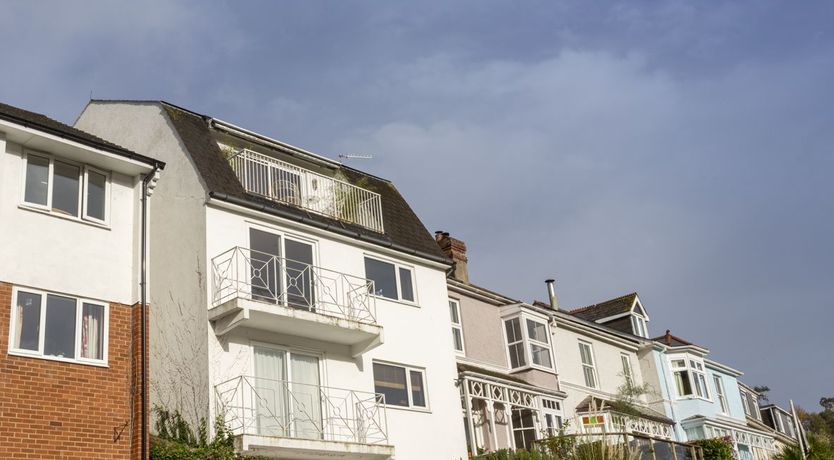 Photo of Groovy Gulls
