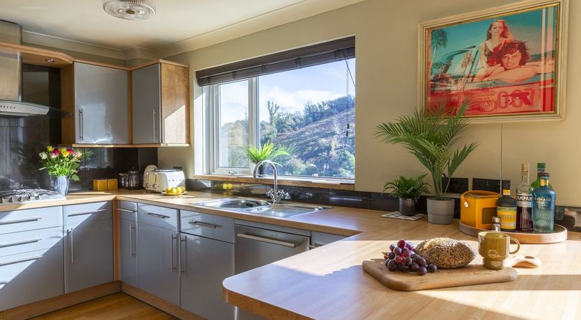 Photo of Groovy Gulls