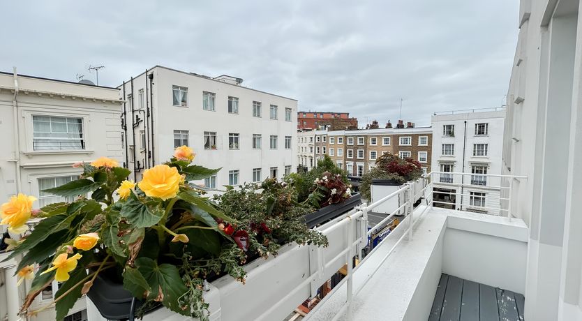 Photo of Westbourne Whisper