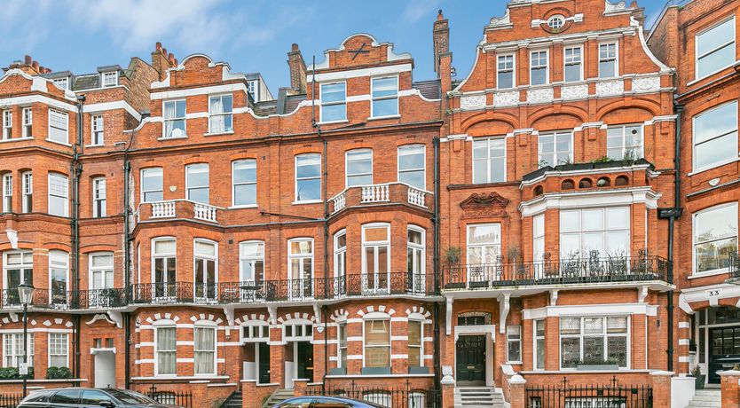 Photo of City Blossom