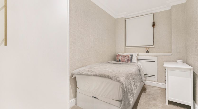 Photo of City Blossom