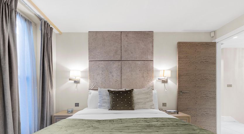 Photo of Paddington Blue