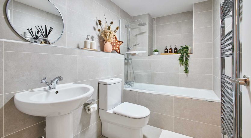 Photo of Blushing Orchids