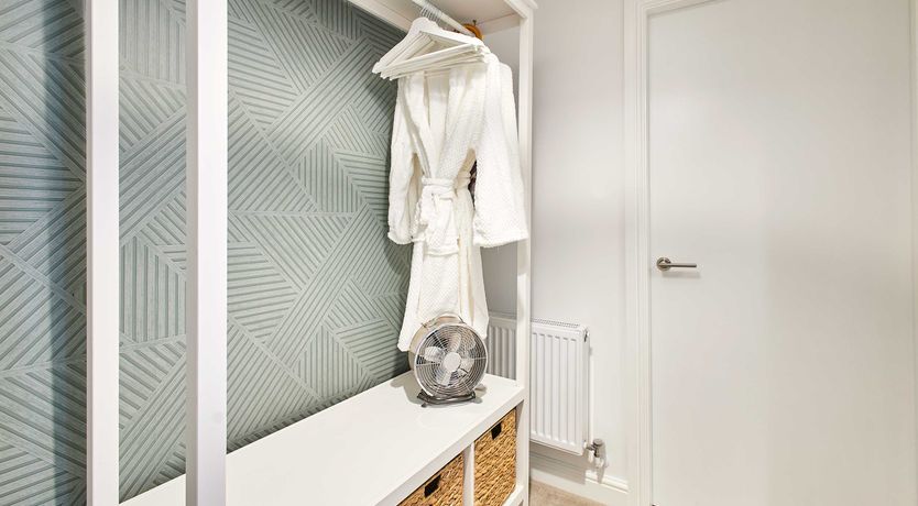 Photo of Blushing Orchids