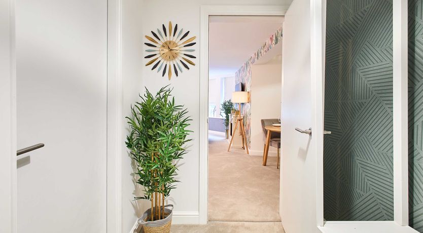 Photo of Blushing Orchids