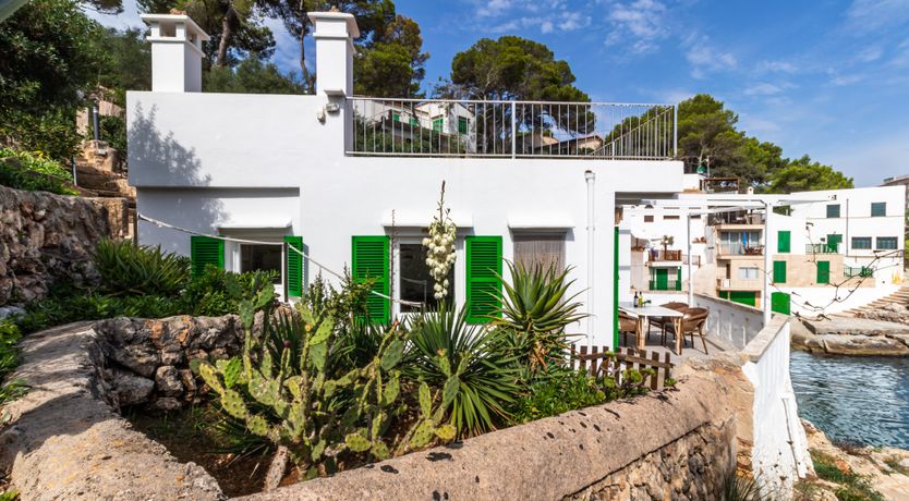 Photo of In the Sunlit Skies