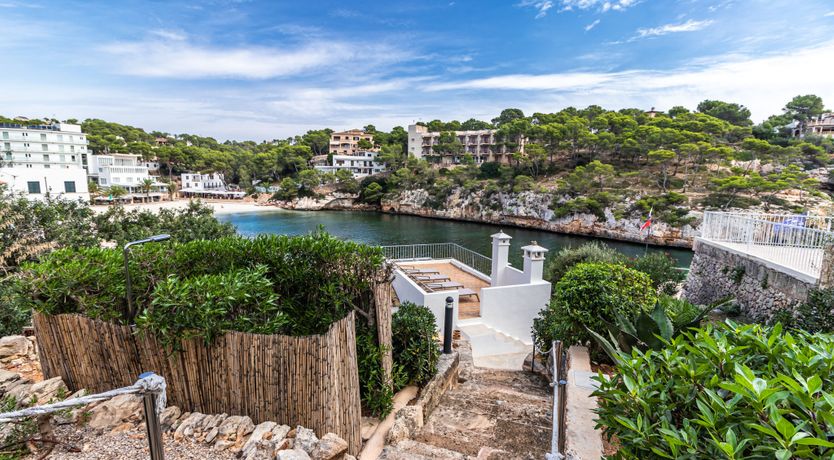 Photo of In the Sunlit Skies