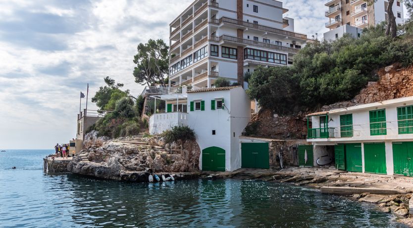 Photo of In the Sunlit Skies