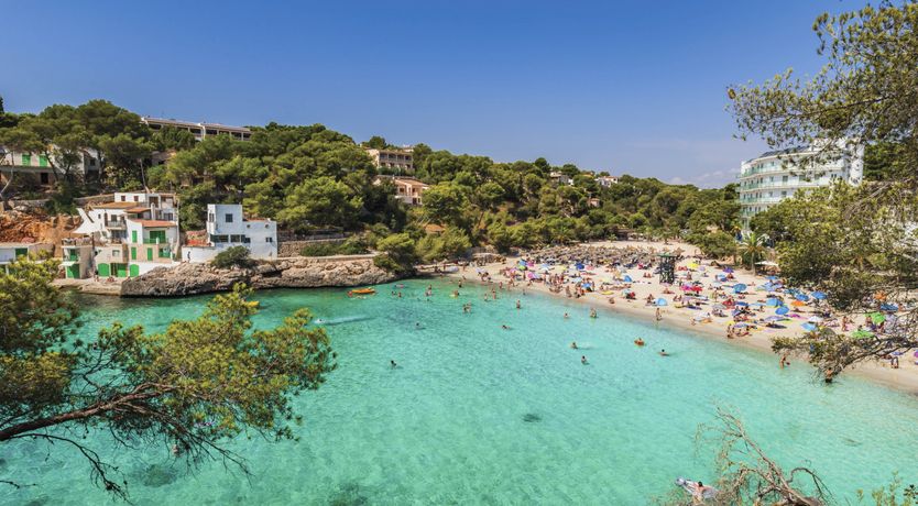 Photo of In the Sunlit Skies