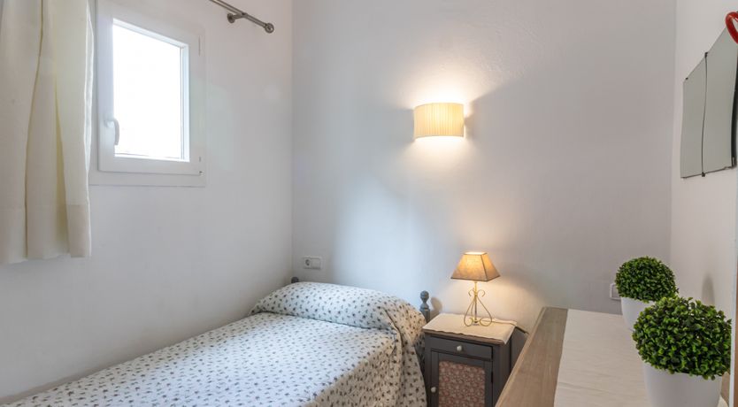 Photo of In the Sunlit Skies