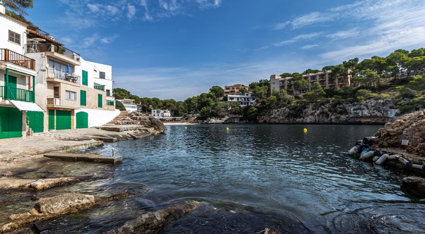 Photo of In the Sunlit Skies