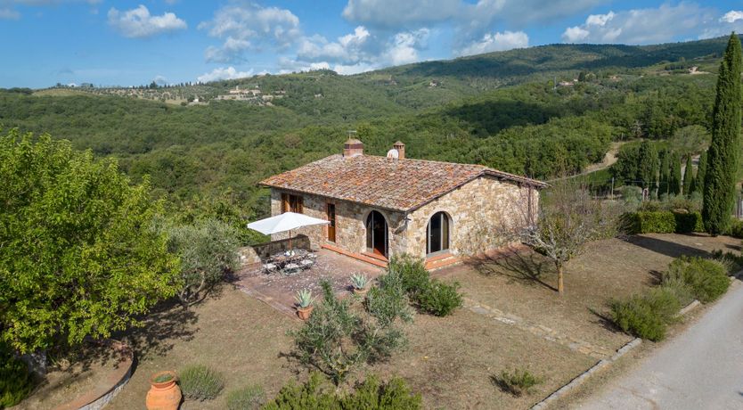 Photo of Tuscan Vine