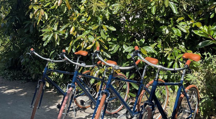 Photo of Santa Barbara Soul