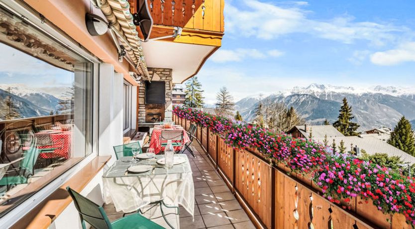 Photo of Bridina n°1