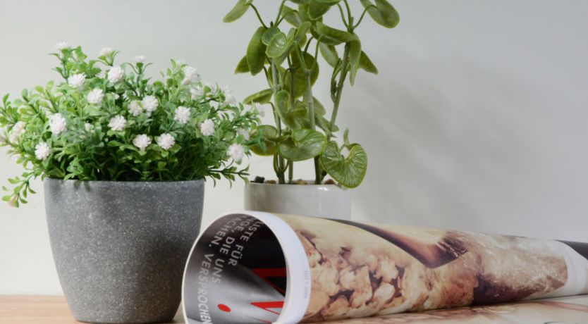 Photo of Tiny Haus Sunny Holiday Home 3