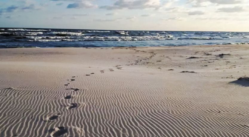 Photo of Pod Dębami