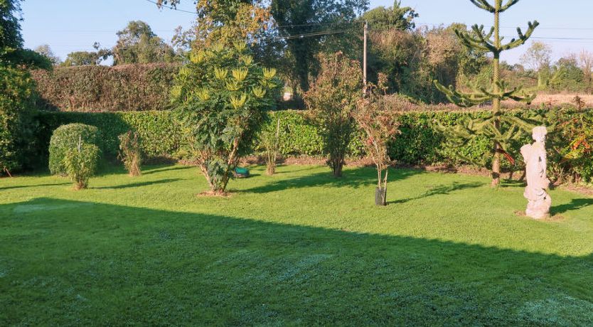 Photo of Le Rouge gorge