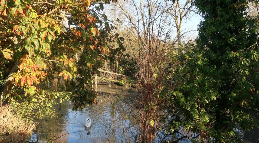 Photo of Le Rouge gorge