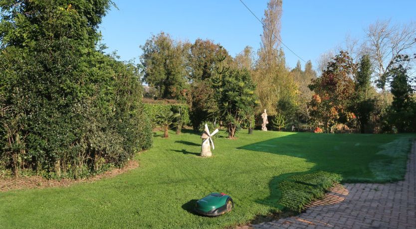 Photo of Le Rouge gorge