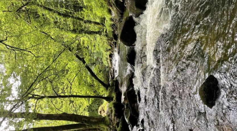 Photo of Rosecraddoc Lodge