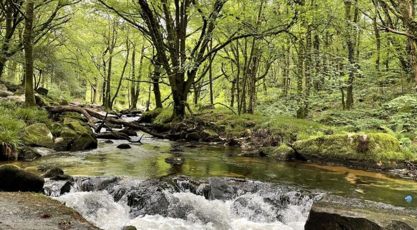 Photo of Rosecraddoc Lodge