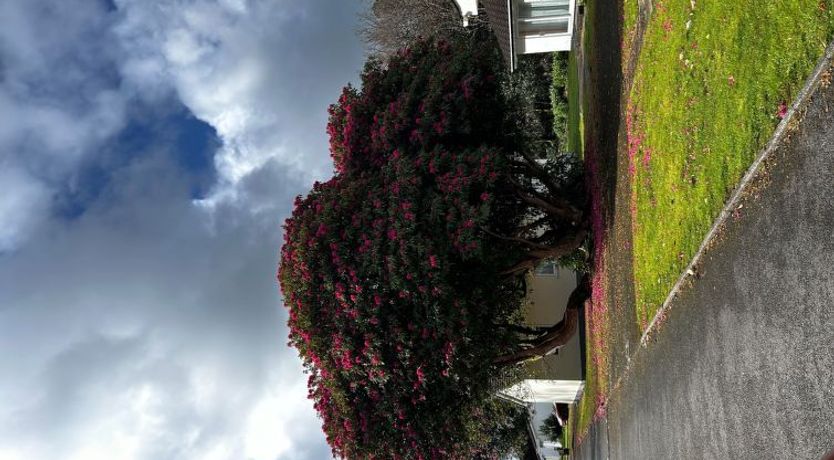 Photo of Rosecraddoc Lodge