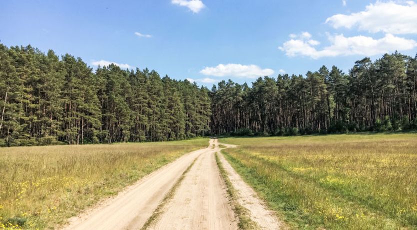 Photo of am Pälitzsee