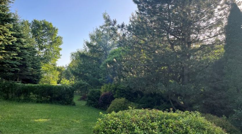 Photo of Kierlikówka