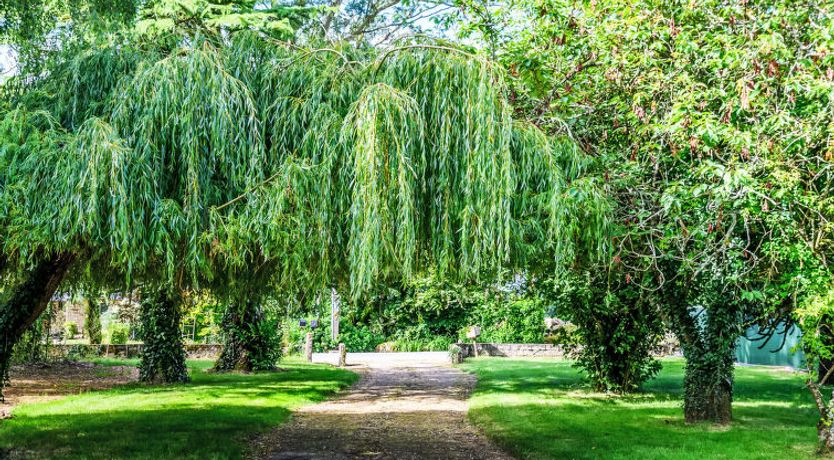 Photo of Maison De Bréarec